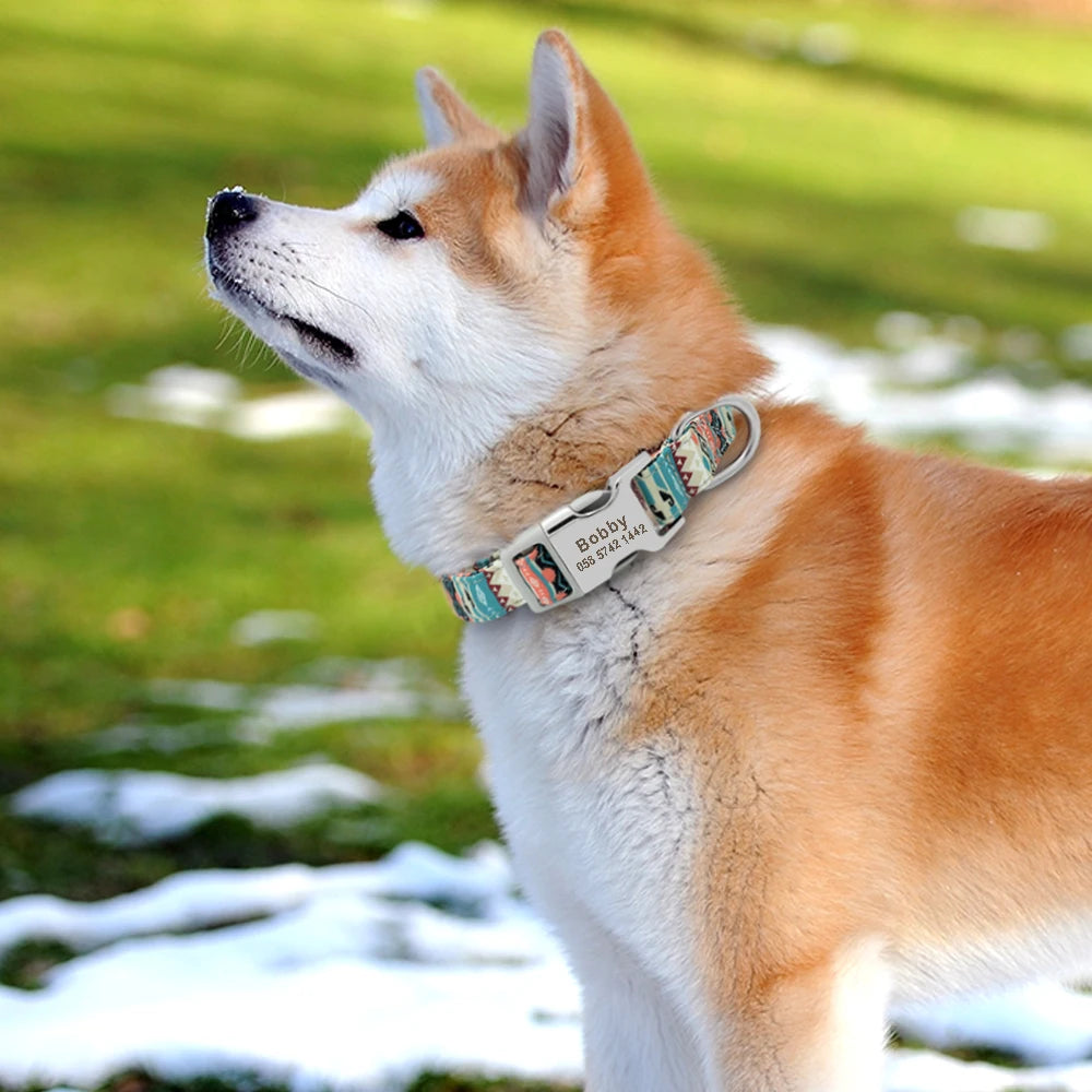 Personalisiertes Hundehalsband mit Gravur
