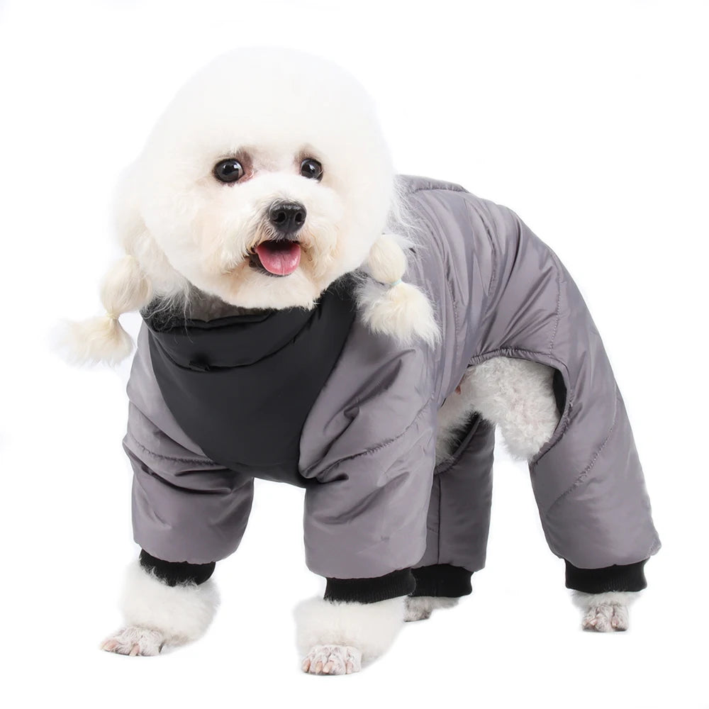 Wasserdichte Winterjacke für Hunde – Warm & Gefüttert für Chihuahua, Bulldogge & Mops