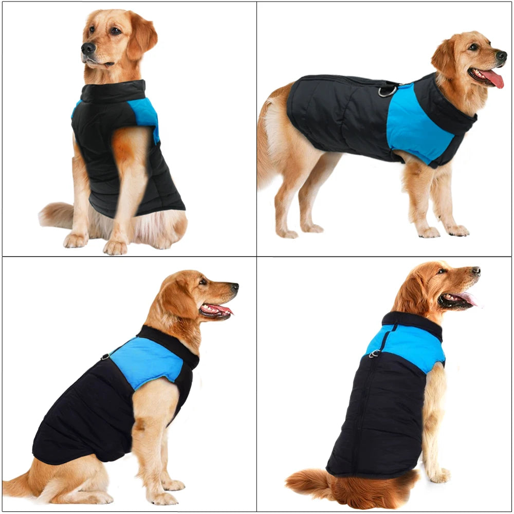 Winterjacke für große Hunde – Wasserdicht für Labrador, Retriever & Bulldogge