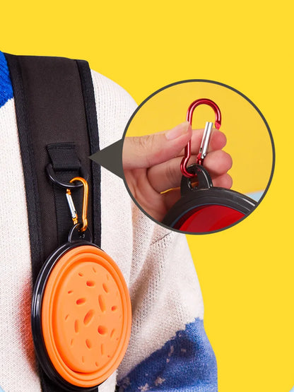 Hundenapf Trinkflasche 1L - Faltbar & Tragbar für Unterwegs