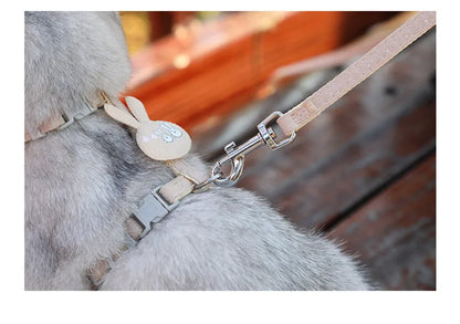 Verstellbares Katzengeschirr mit Leine – Cartoon-Design für Kätzchen & Welpen