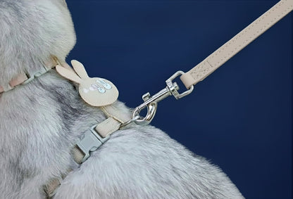 Verstellbares Cartoon-Geschirr mit Leine – Komfortable Halsung für Katzen & kleine Hunde