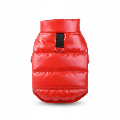 Wärmender Wintermantel für kleine Hunde – wasserdicht, reflektierend, modisch & kuschelig