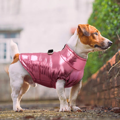 Wasserdichte Winterjacke für Hunde – warm, reflektierend & winddicht – ideal für Französische Bulldoggen & Chihuahua