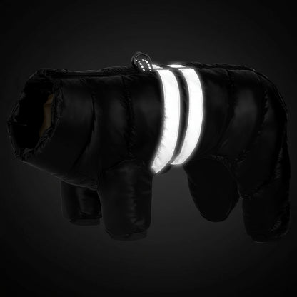 Wasserfeste Winterjacke für Hunde – warm, reflektierend & winddicht