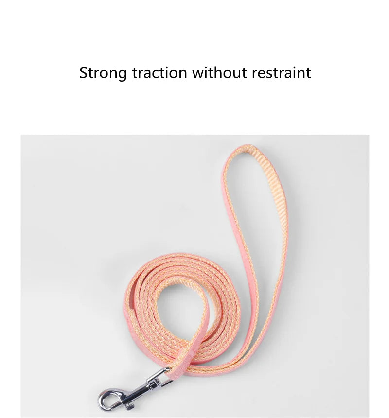 Verstellbares Katzengeschirr mit Leine – Cartoon-Design für Kätzchen & Welpen