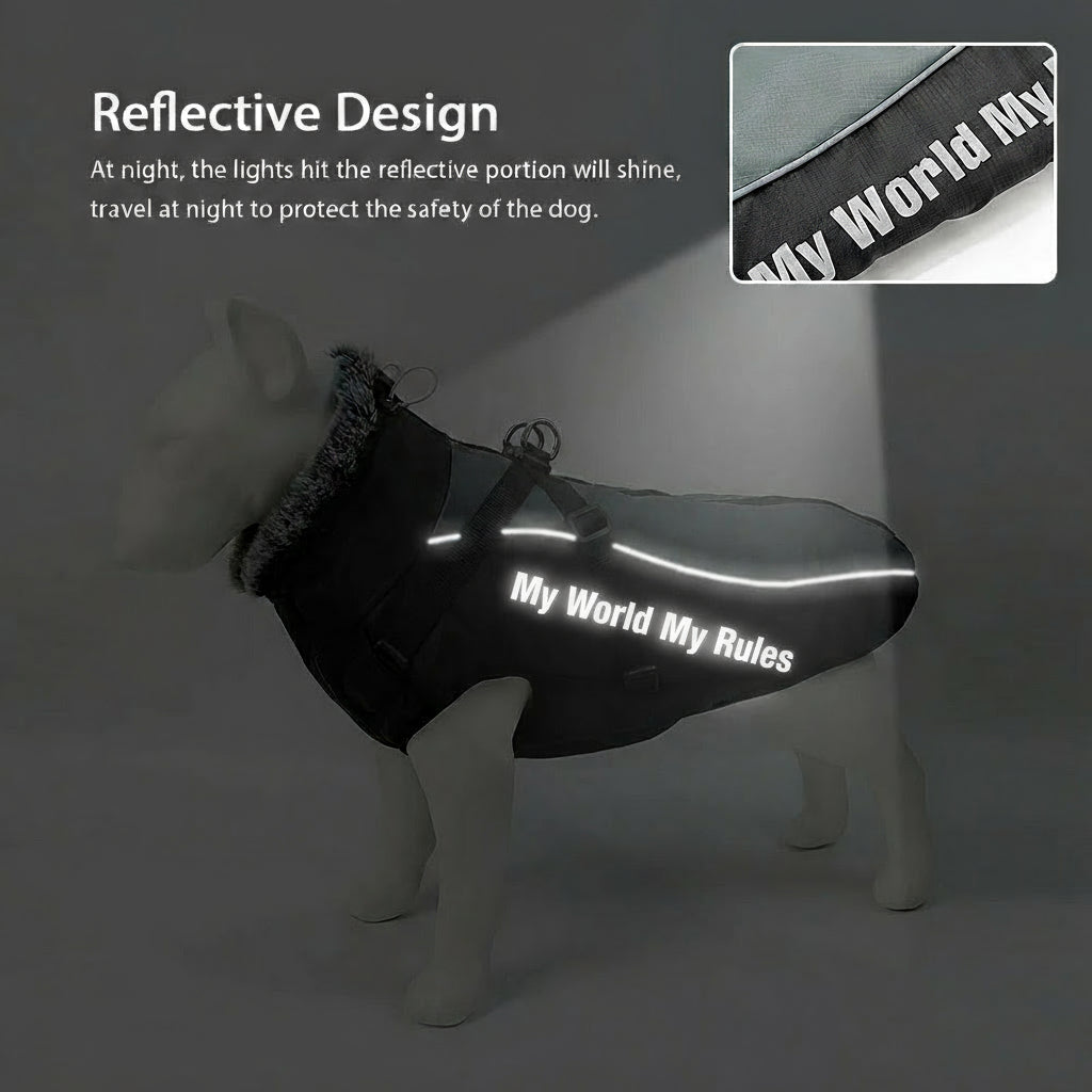 Wasserdichter Wintermantel für große Hunde – mit Geschirr, warm & winddicht