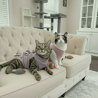 Atmungsaktive Schutzhose für Katzen und kleine Hunde – Komfortabler Schutz nach OP oder Sterilisation