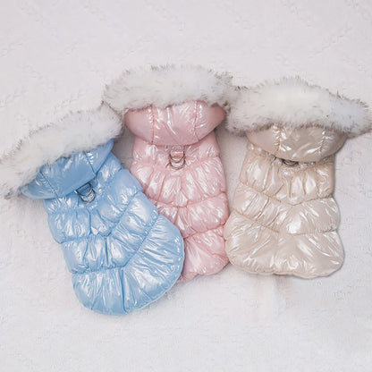 Warmer Wintermantel für kleine Hunde – winddicht, weich & mit Fellkragen