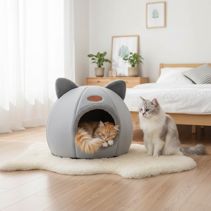 Zwei Katzen teilen sich große Katzenhöhle im Schlafzimmer