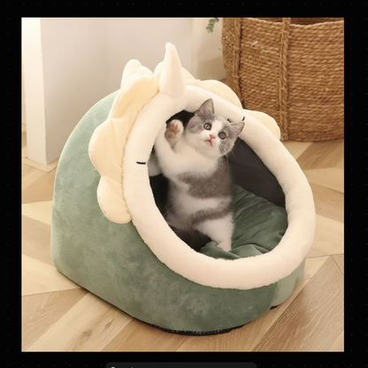 Kätzchen Einhorn grün